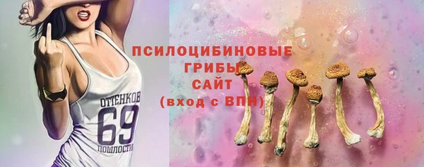 a pvp Абаза