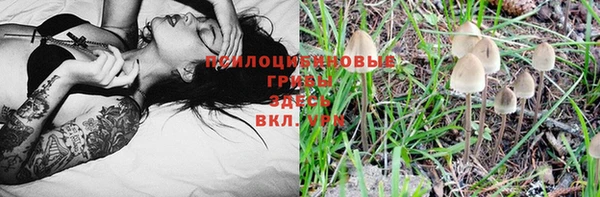 2c-b Абинск