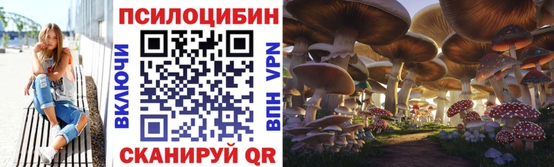 блэк спрут как зайти Туран Галлюциногенные грибы прущие грибы
